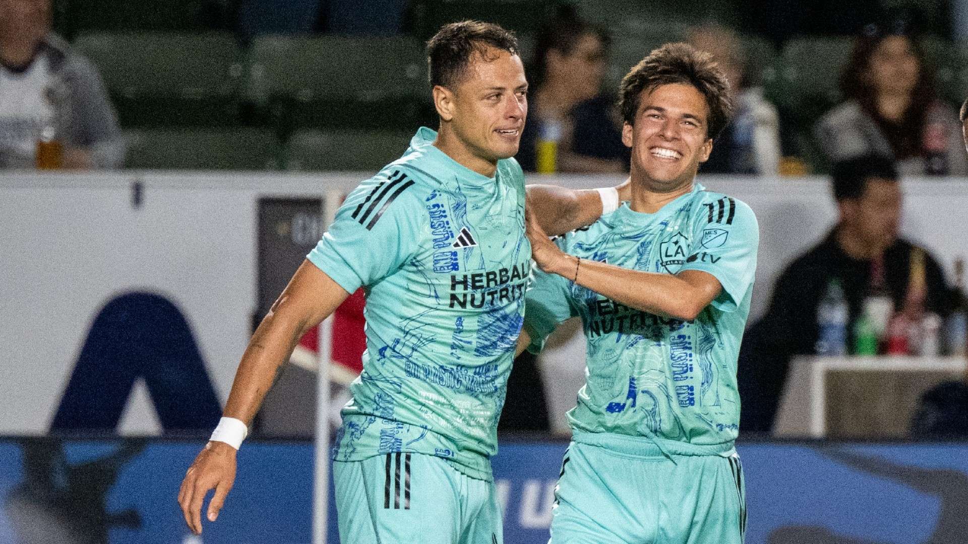 训练场上 训练场上